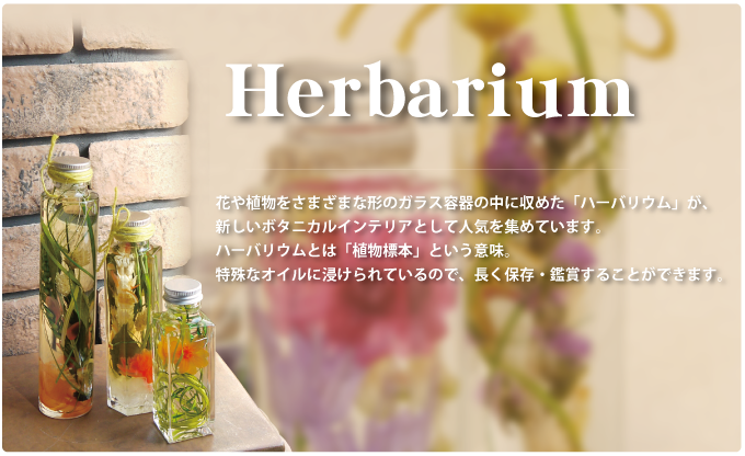 ハーバリウムイメージ